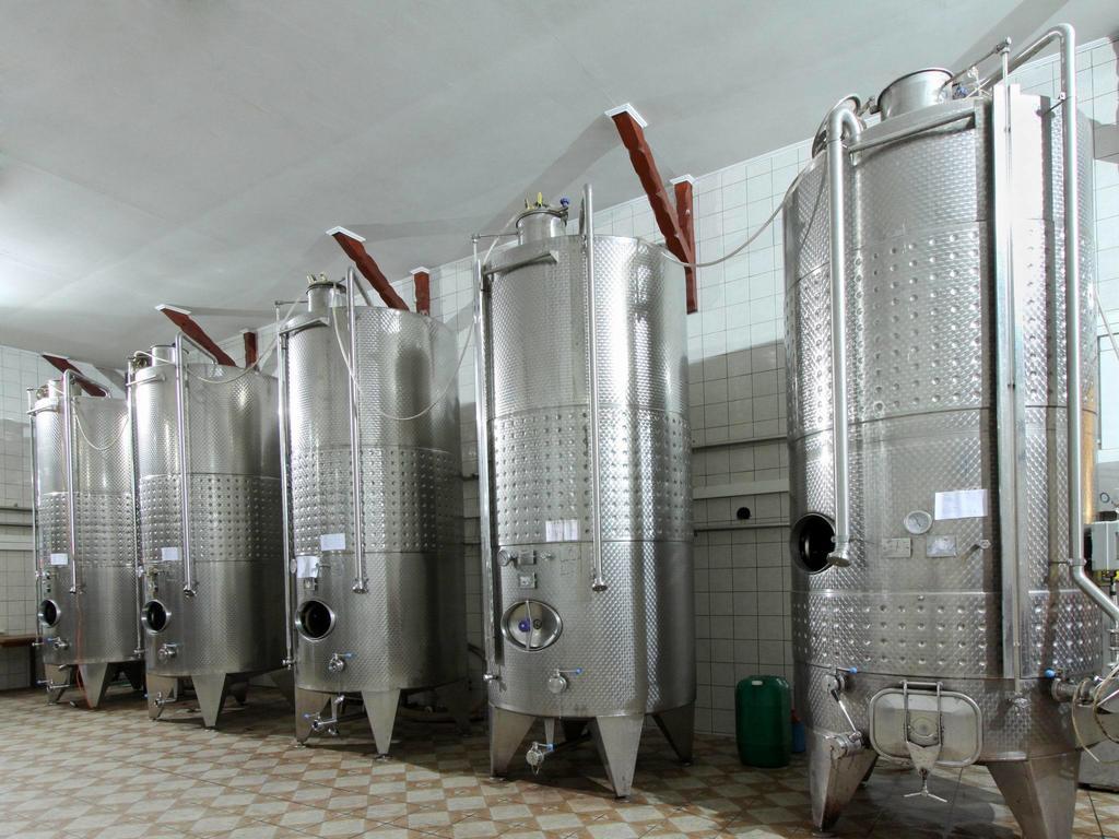 Vinski Dvor Palics Kültér fotó